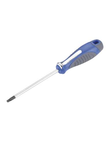 ALYCO DESTORNILLADOR TORX INVIOLABLE T-27*100