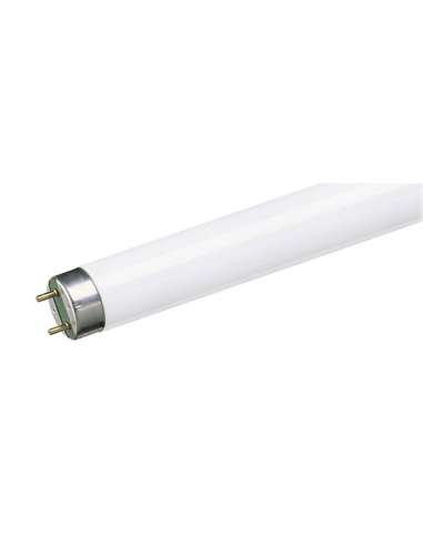 E TUBO FLUORESCENTE 15W L54