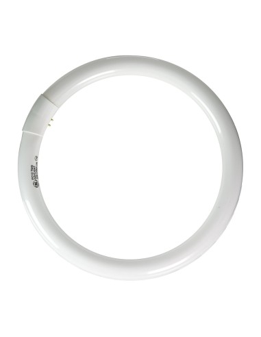 TUBO FLUORESCENTE CIRCULAR 32W.6500K