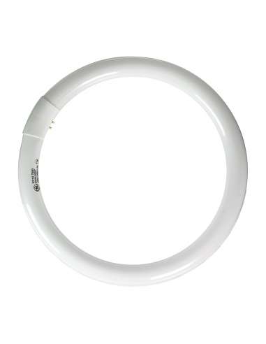 TUBO LED CIRCULAR 22 W