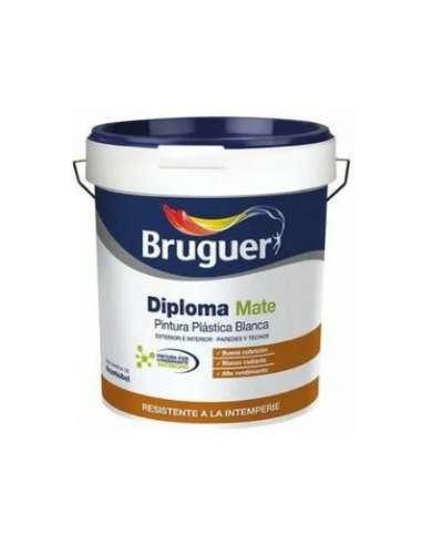 BRUGUER PINTURA PLASTICA DIPLOMA GRIS SALVAMENTO 25KG