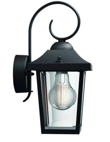 BUZZARD FAROL COLGAR PARED NEGRO